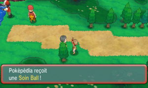 Route 103 Soin Ball ROSA.png