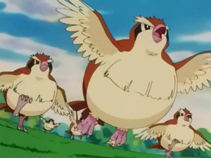 Épisode 211 Roucool.png