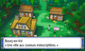 Bourg-en-Vol dans Pokémon Rubis Oméga et Saphir Alpha.