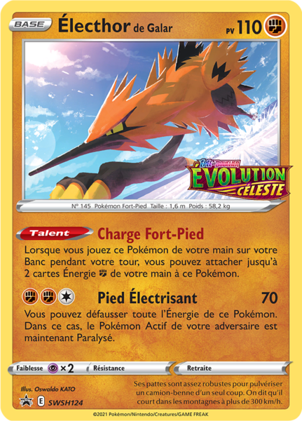 Fichier:Carte Promo SWSH SWSH124.png