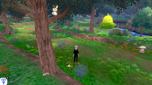 Forêt Flexion Objet Caché 14 EB.png