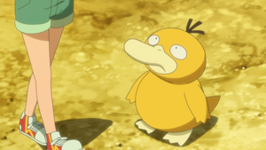 LV147 - Psykokwak d'Ondine.png