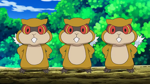 NB024 - Ratentif.png