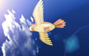 Roucoups sauvage - Film 21.png