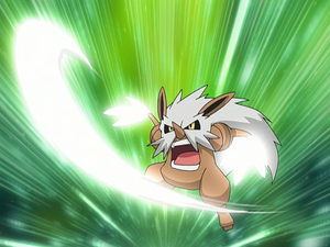 Tengalice Coupe-Vent.png