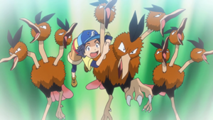 Épisode spécial LV 5 - Dodrio (Flash-back).png