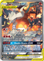 Carte Reshiram et Dracaufeu