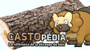 Discord Poképédia bannière Poisson 2023.png