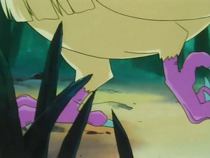 Episode 1 - Roucool serres.png