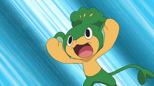 NB067 - Feuillajou de Rachid.png