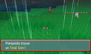 Route 119 Total Soin ROSA.png
