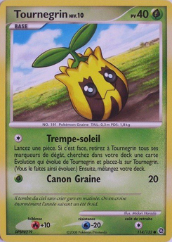 Tournegrin (Diamant & Perle Merveilles Secrètes 114)