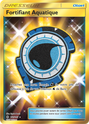 Carte Soleil et Lune Gardiens Ascendants 161.png