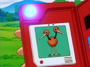 EP073 - Doduo Pokédex.png