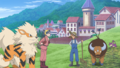 Tauros et Rattata (d'un fermier)