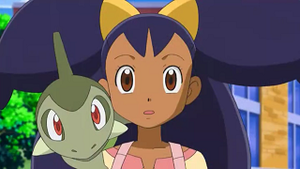 NB039 - Coupenotte d'Iris.png