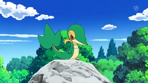 NB139 - Vipélierre de Sacha.png