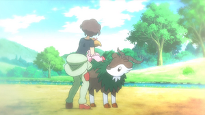 XY053 - Cabriolaine (Flash-back).png