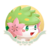 Shaymin (or) A