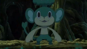 NB034 - Feuillajou de Rachid.png