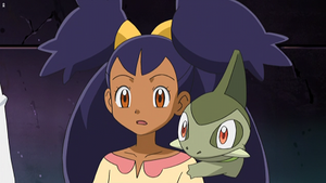 NB083 - Coupenotte d'Iris.png