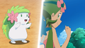 Shaymin (sauvage)