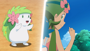 SL129 - Shaymin.png