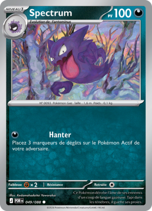 Carte Méga-Évolution Équilibre Parfait 049.png