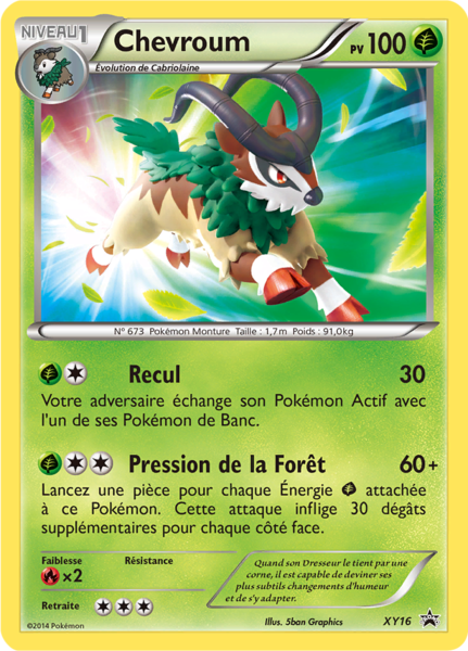 Fichier:Carte Promo XY XY16.png