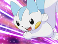 Pachirisu (d'Aurore)