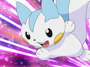 DP105 - Pachirisu d'Aurore.png