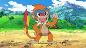 DP132 - Chimpenfeu de Sacha.png