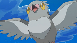 NB008 - Poichigeon de Sacha.png