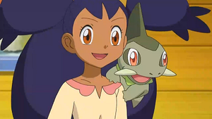 NB130 - Coupenotte d'Iris.png