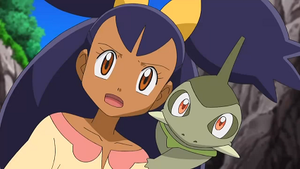 NB138 - Coupenotte d'Iris.png