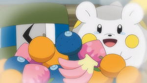 SL089 - Chrysapile et Togedemaru de Chrys (Flash-back).png
