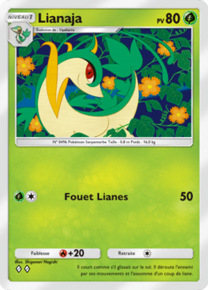 Carte L'Île Fabuleuse 005.png