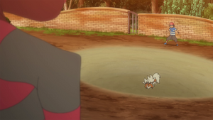 Crocorible Tourbi-Sable.png