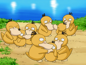 DP087 - Psykokwak.png