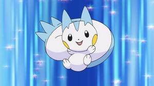 DP170 - Pachirisu d'Aurore.png