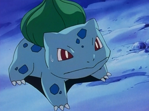 Episode Tempête de neige - Bulbizarre de Sacha.png