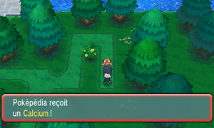 Route 123 Calcium ROSA.png