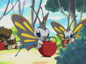 AG008 - Charmillon.png