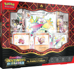 Recto du coffret.