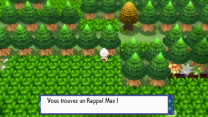 Route 221 Rappel Max DEPS.png