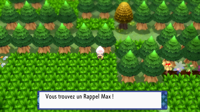 Fichier:Route 221 Rappel Max DEPS.png