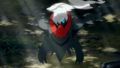 Darkrai (sauvage)