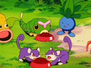 EP010 - Rattata.png