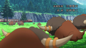 Frison sauvages Film 15.png