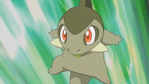 NB030 - Coupenotte d'Iris.png